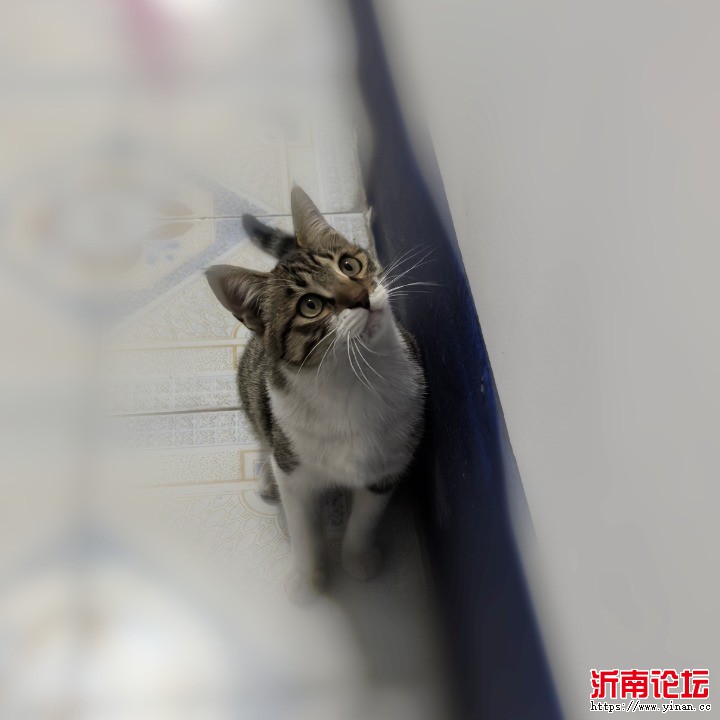 MEITU_20241119_203712494.jpg