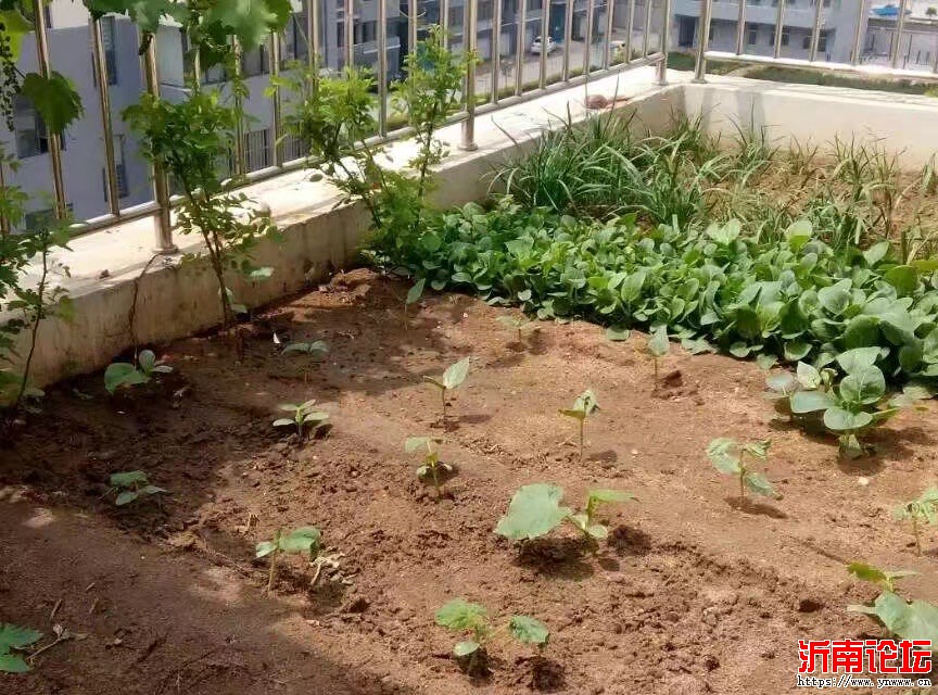 微信图片_2025-07-31_085146_104.jpg